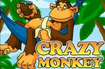 Crazy_Monkey_212x141